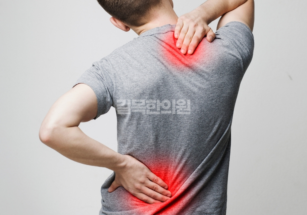 척추관절